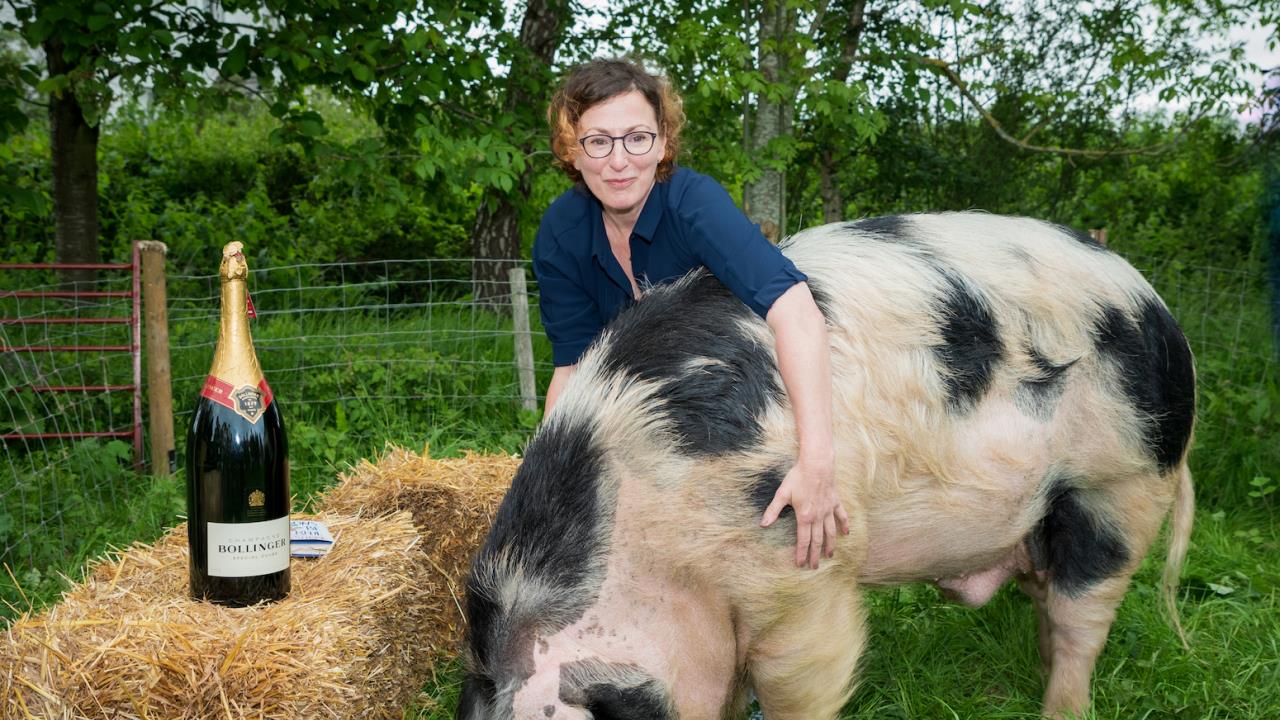 Winner Stibbe meets her Cheerful piggy