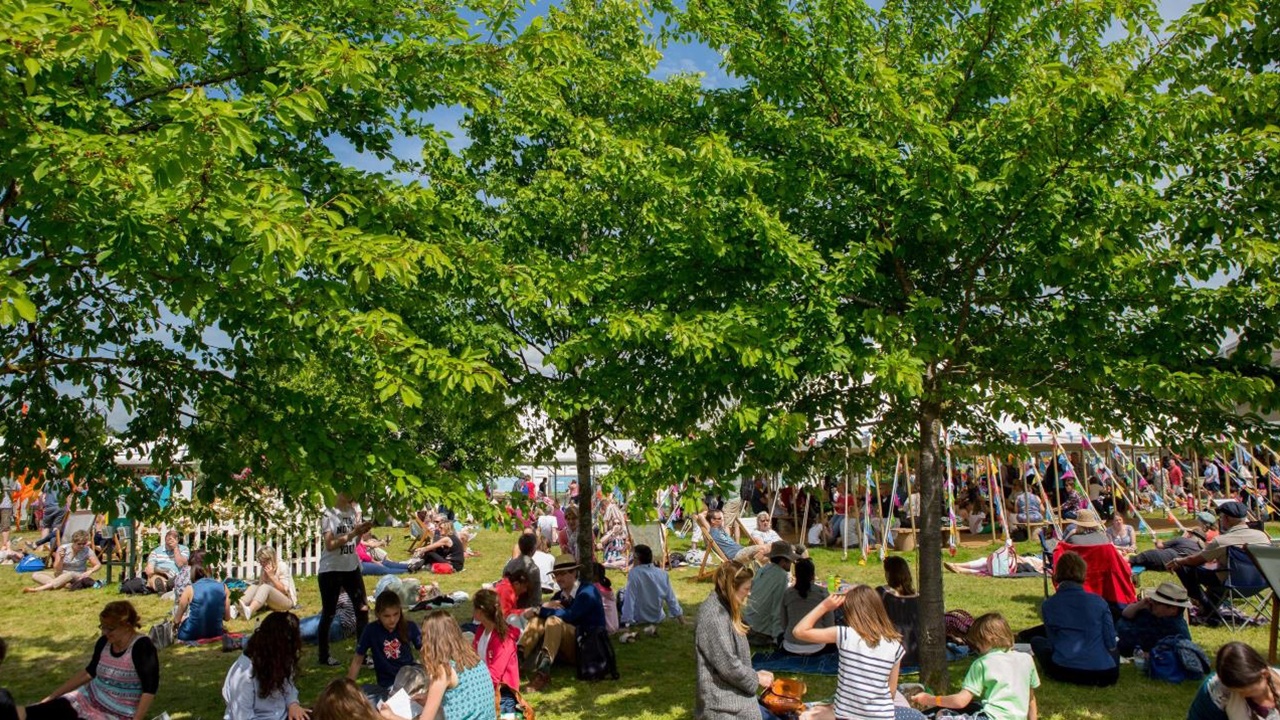 Trees on the Hay Festival site