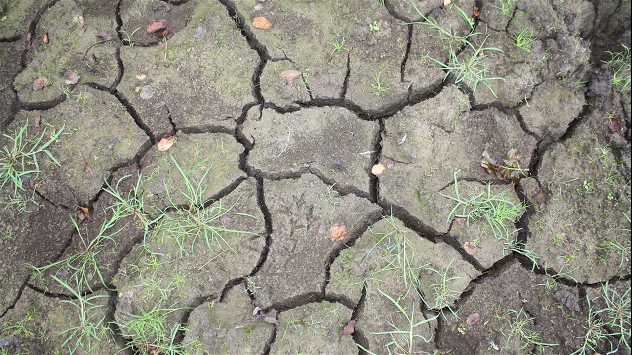 Parched earth in UK