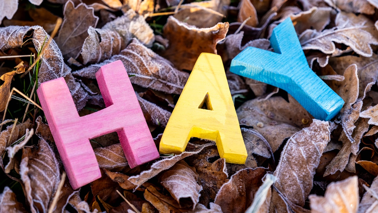 Hay letters on leaves