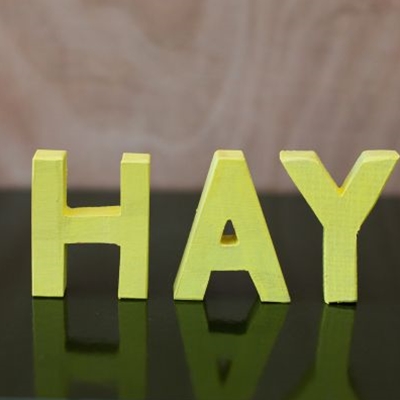 Hay Festival HAY Letters