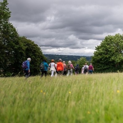 Wayfaring Walk 4: The Climate Emergency Wayfaring Walk 4: The Climate Emergency
