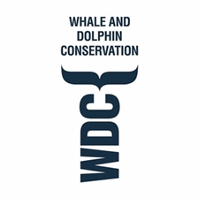 Whale and Dolphin Conservation